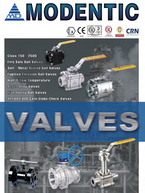 Road crossing the forest