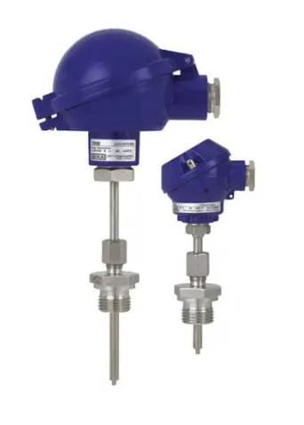 Horses on a landscap